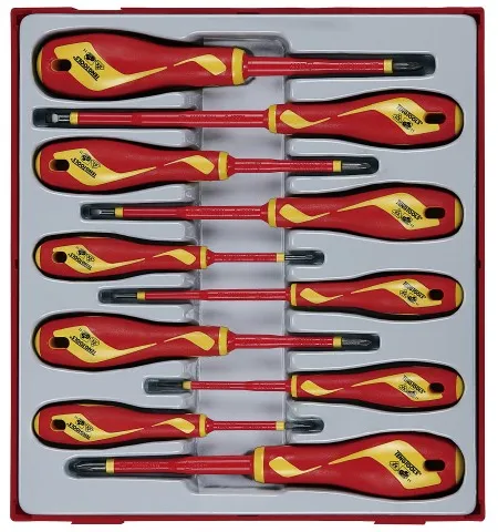 Teng Tools 1000V TTDV910N Schraubendreher-Set mit 10 Teilen